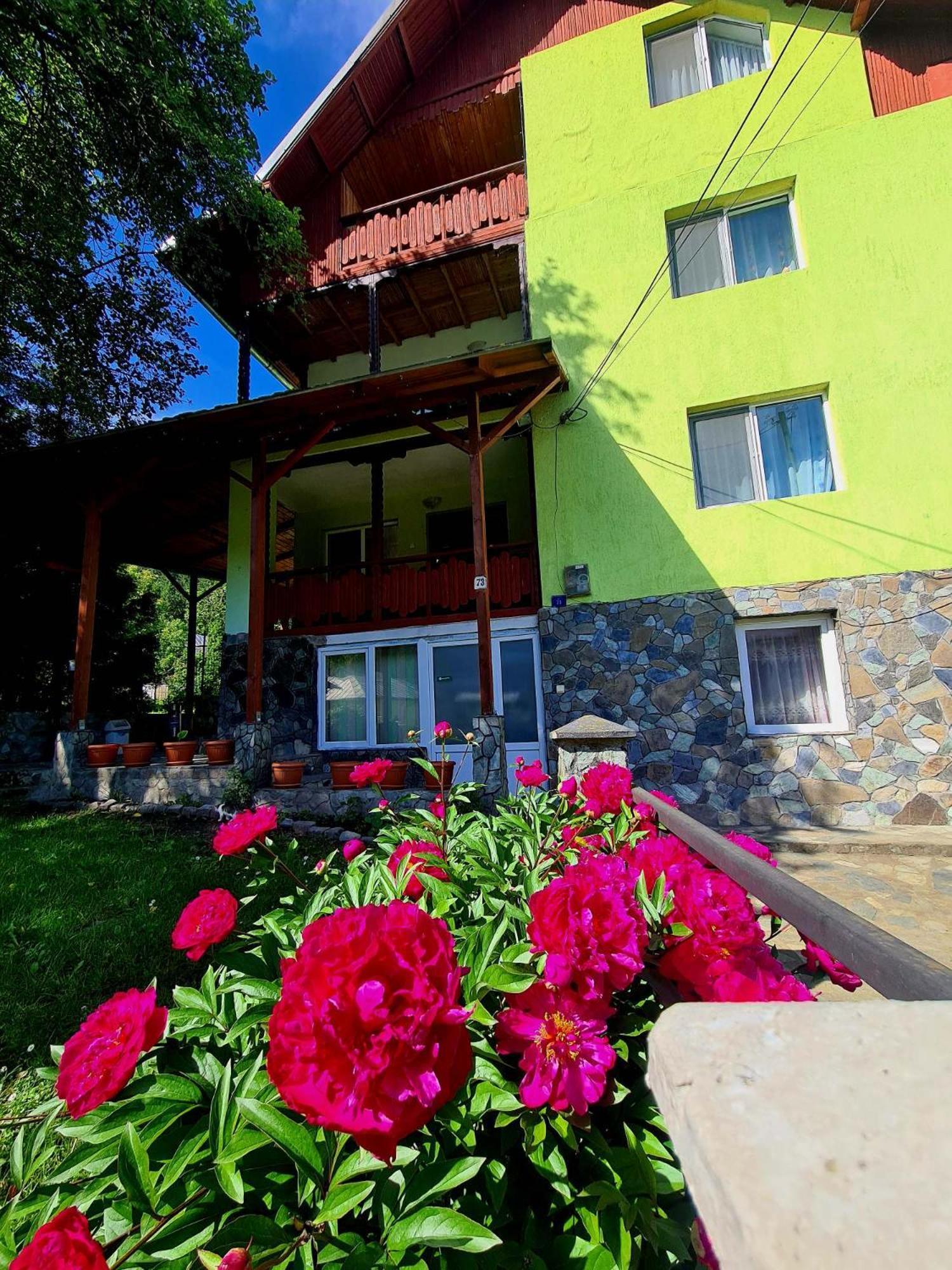 Vila Giulia Войняса Экстерьер фото