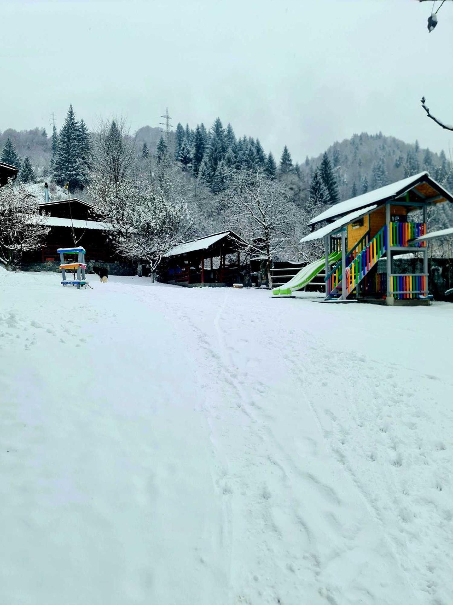 Vila Giulia Войняса Экстерьер фото
